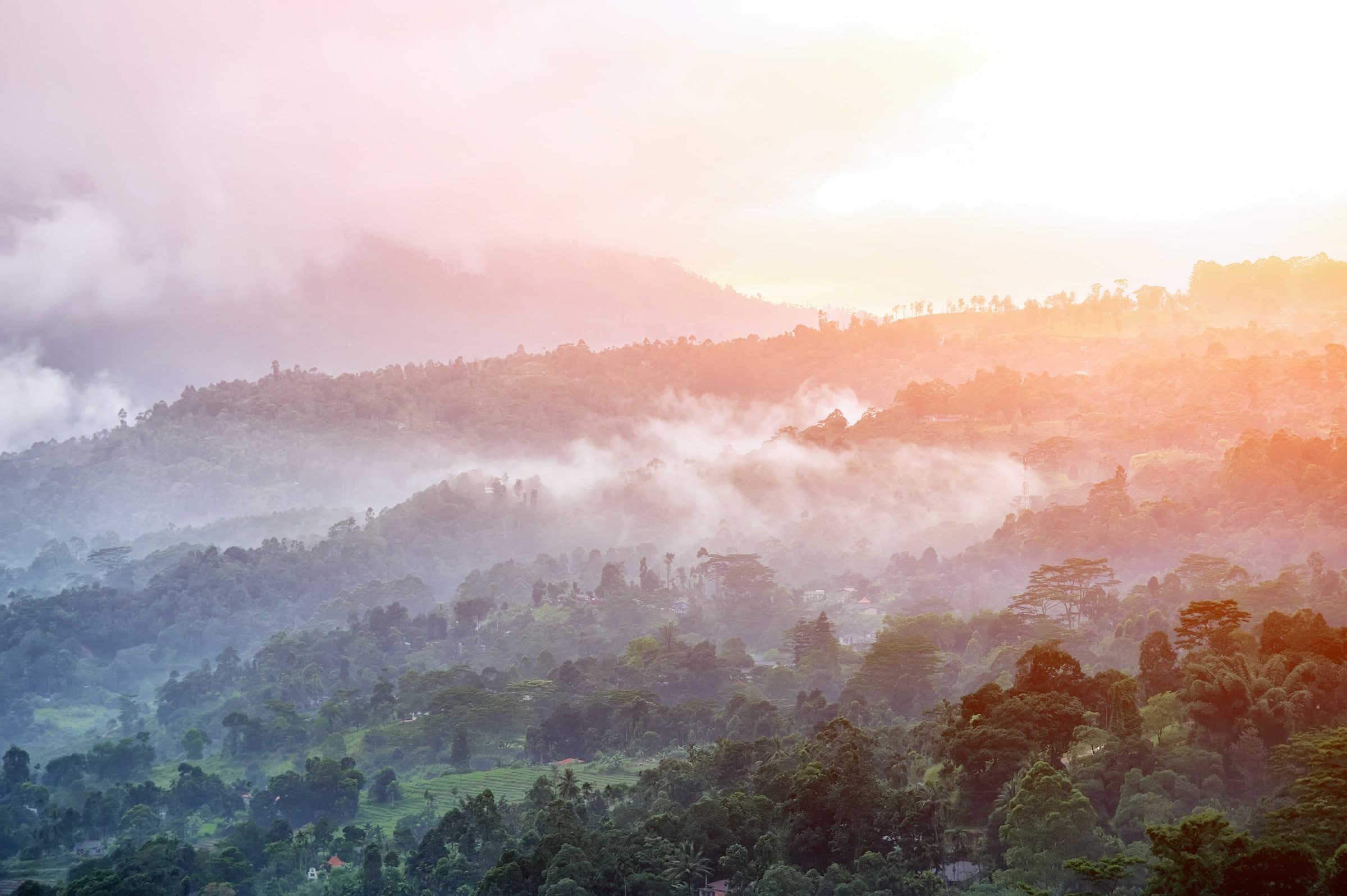 Morning mist over forested hills in Sri Lanka