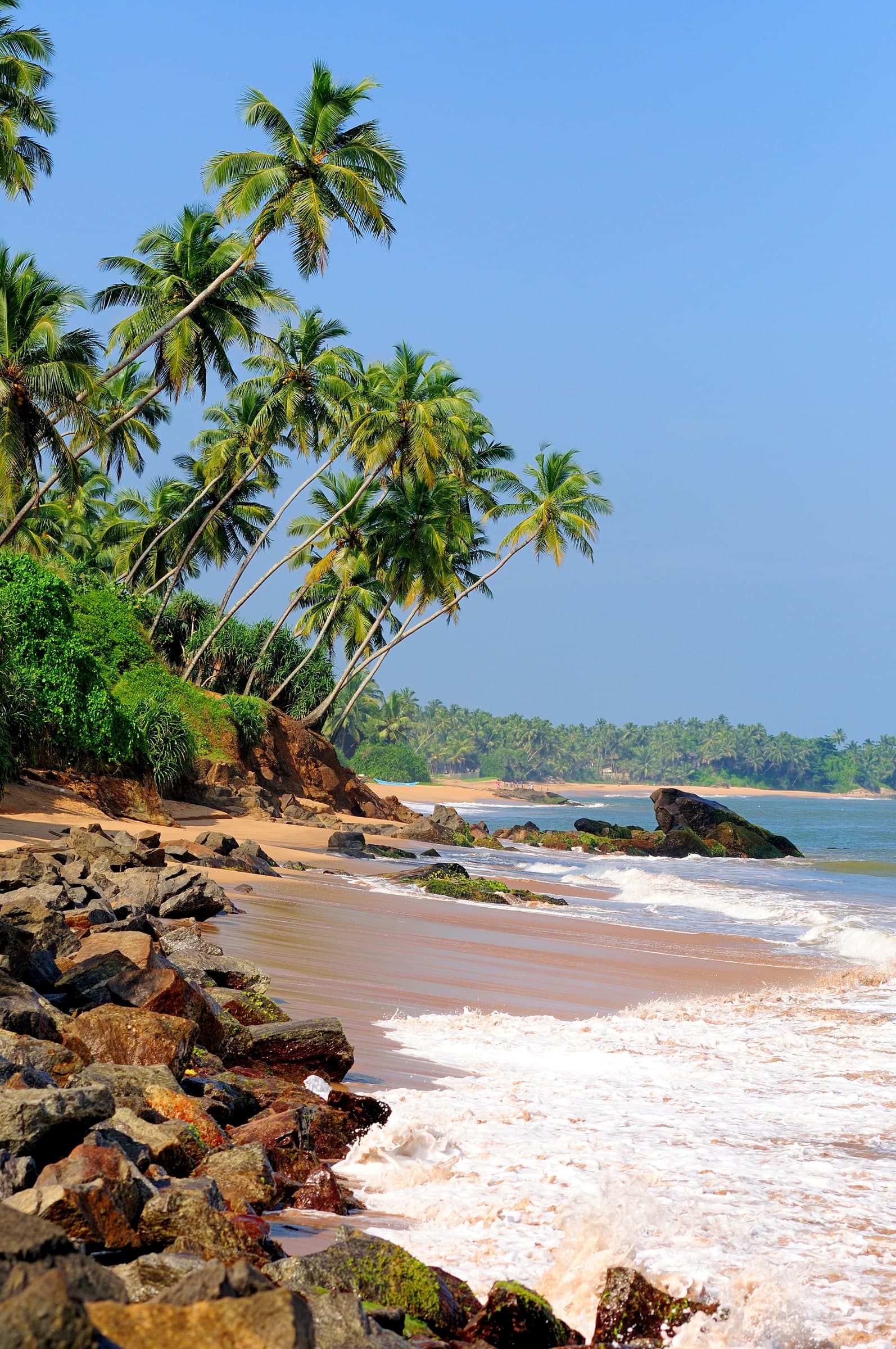 Palm-lined coast and blue sea in Sri Lanka