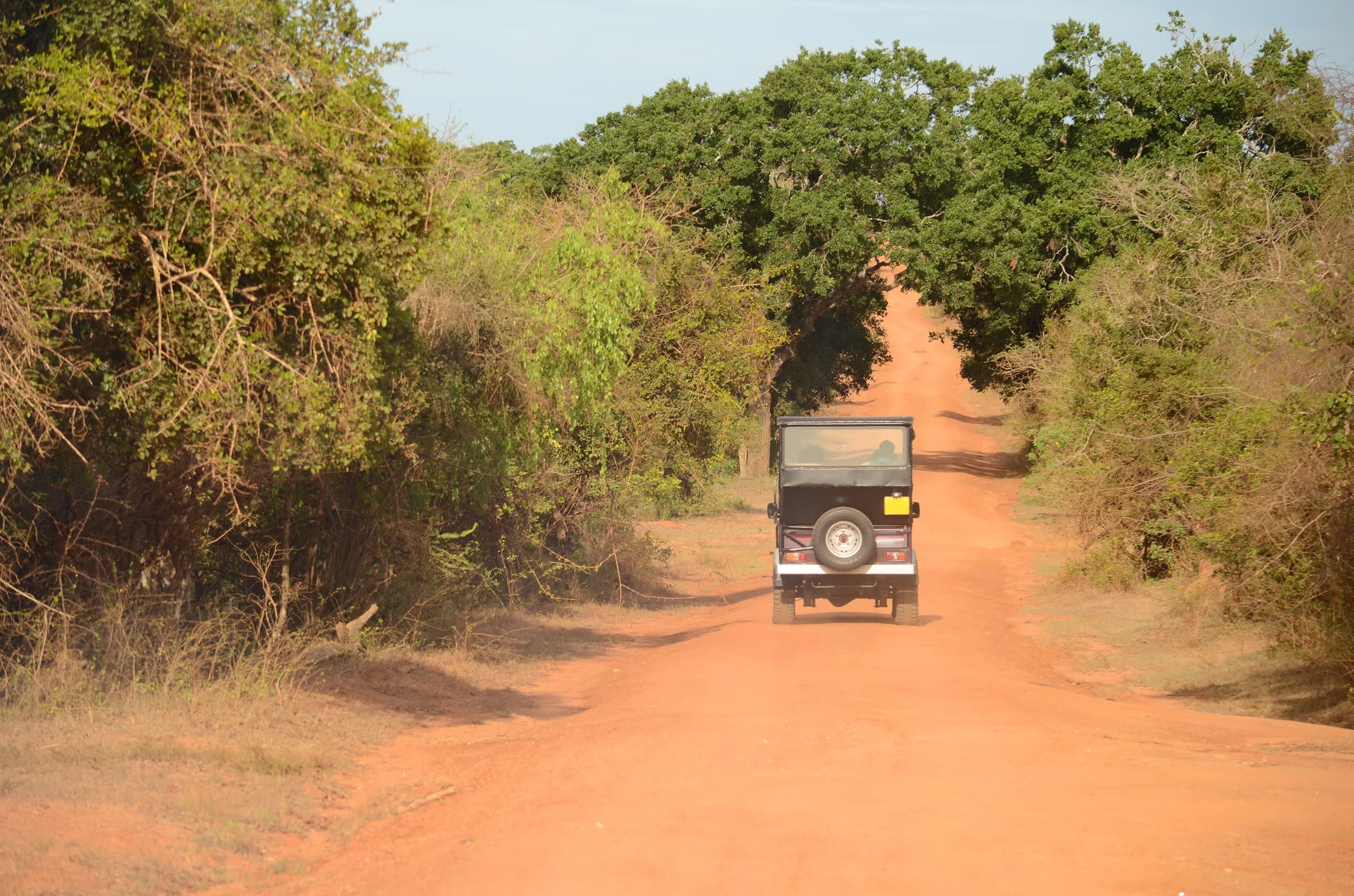Safari jeep on a dirt road in Yala National Park