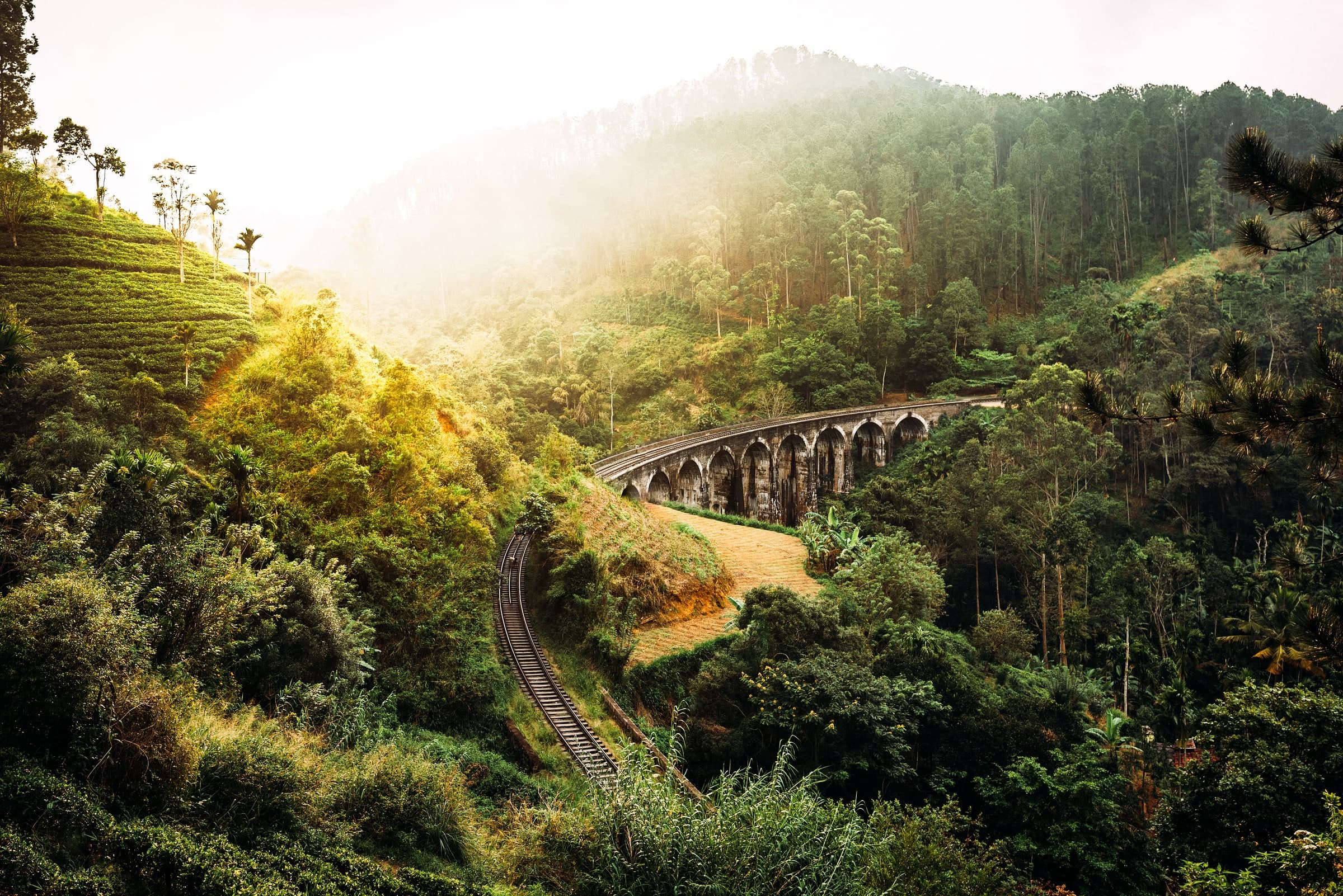 Nine Arch Bridge curving through forested hills near Ella in warm sunlight