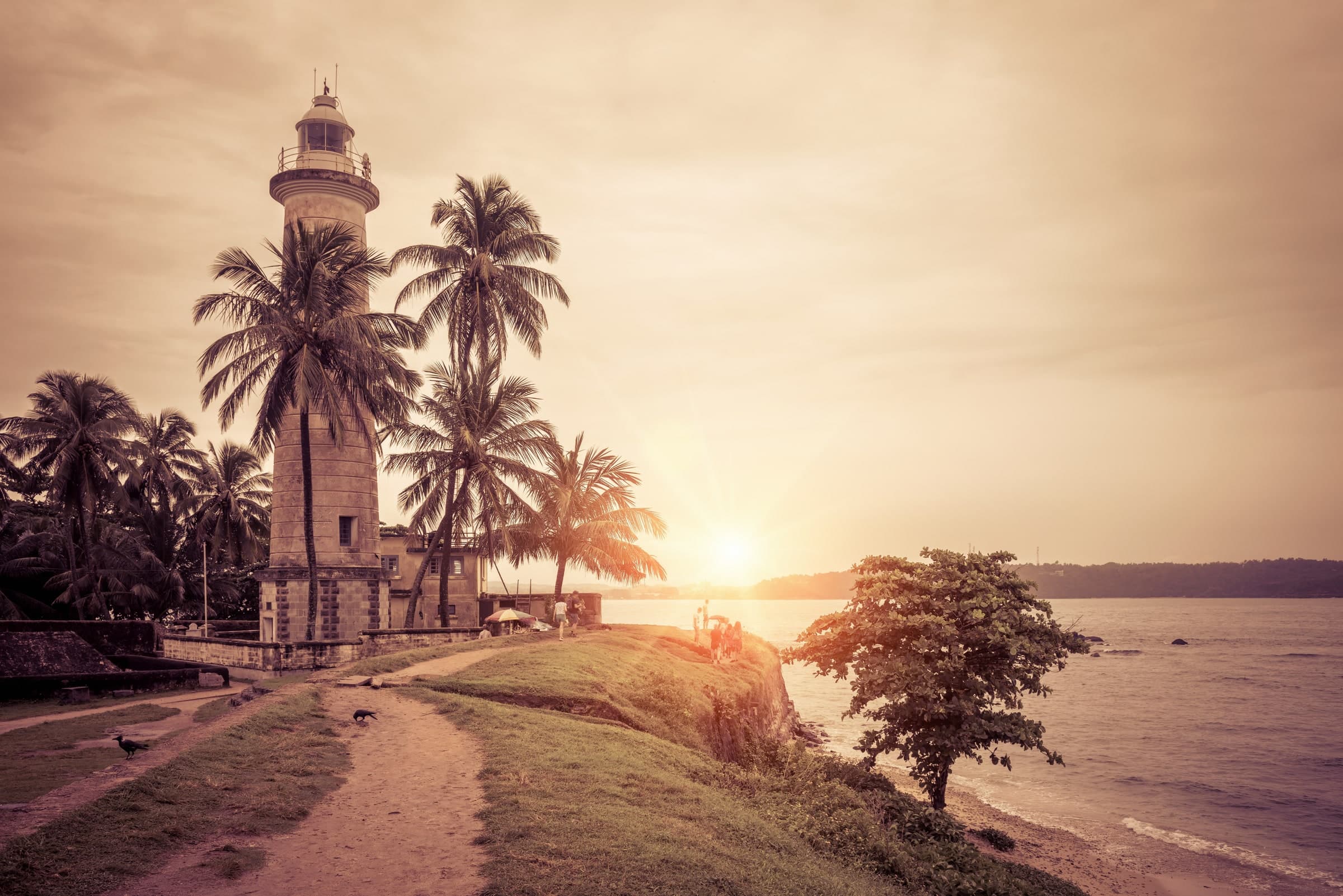 Galle lighthouse and palms in warm evening light
